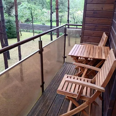 Forest-house Lt * Ντρουσκινινκάι