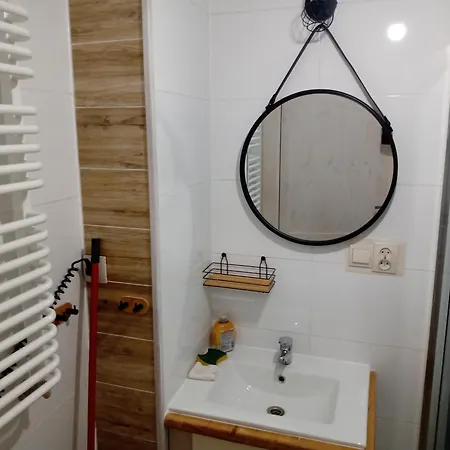 Forest-house Lt Apartment Druskininkai