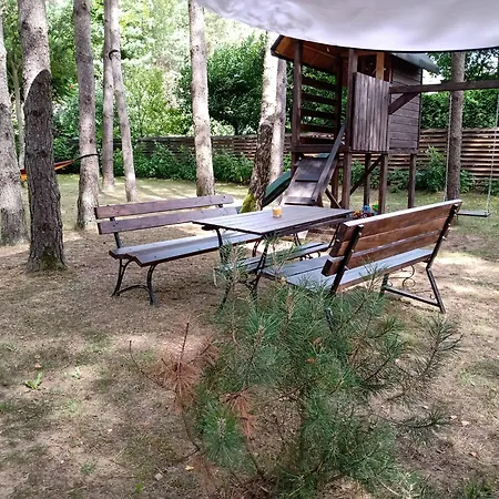 Διαμέρισμα Forest-house Lt Ντρουσκινινκάι