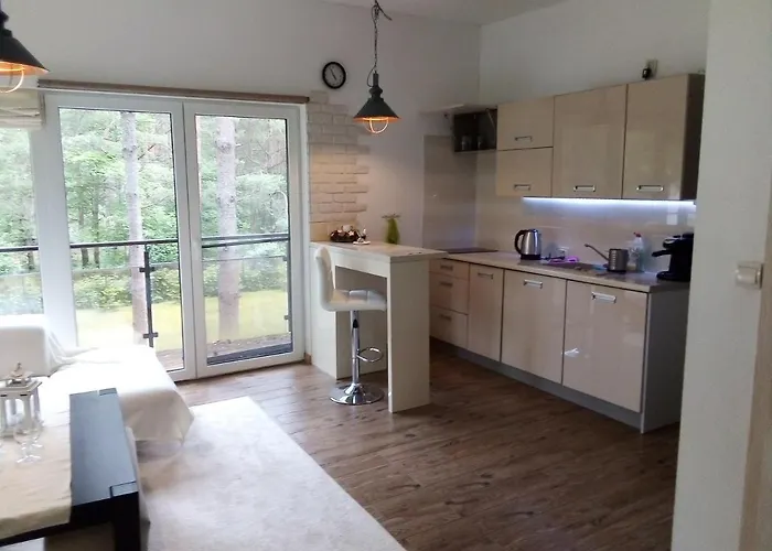 Forest-house Lt Apartament