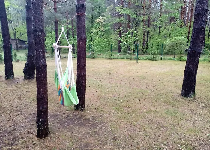 Forest-house Lt Apartament *