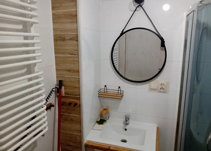 Forest-house Lt Apartament Druskieniki