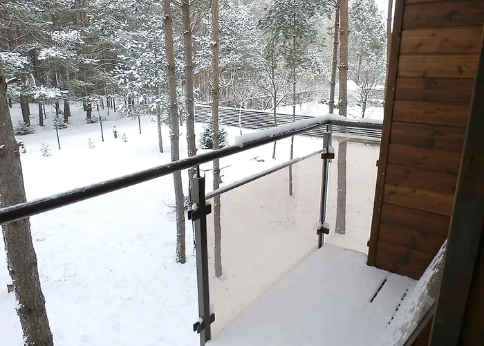 Apartament Forest-house Lt Druskieniki